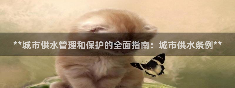 球友会提款审核