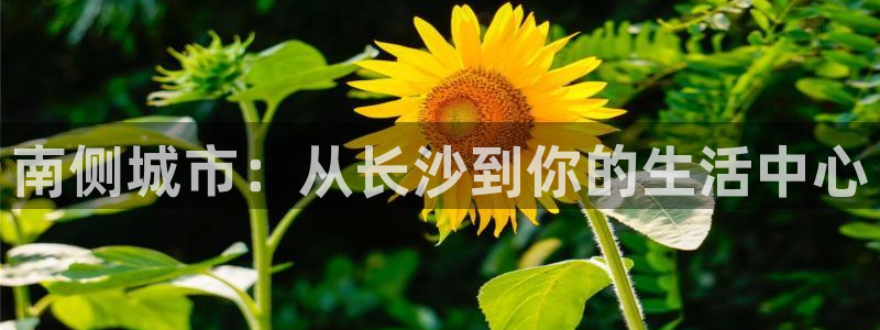 球友会体育app下载官网苹果