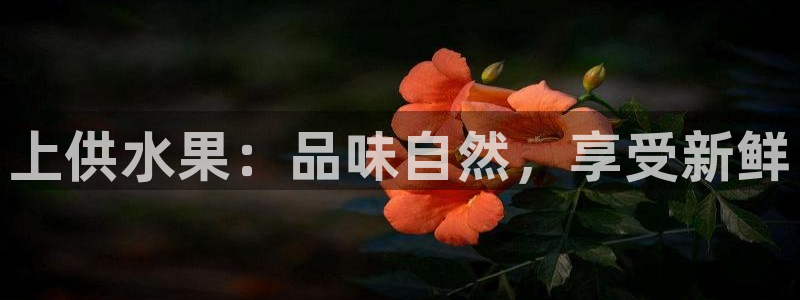 球友会官网入口在哪里