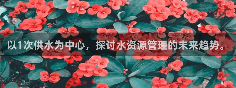 球友会网站多少