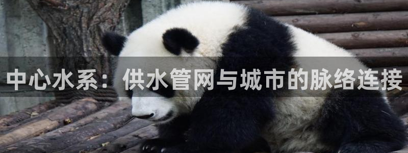球友会官方网站