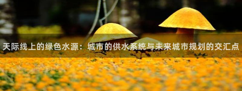 球友会app官网下载安卓