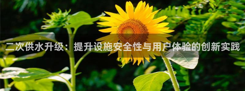 球友会能提现吗